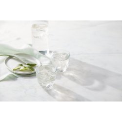 Herbalife Aloe-Urtekoncentrat