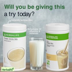 Herbalife Protein Drink Mix (PDM) 