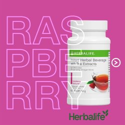 Herbalife Instant Urtekoncentrat 50g